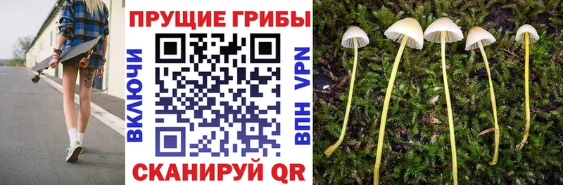 Псилоцибиновые грибы Magic Shrooms  Прокопьевск 